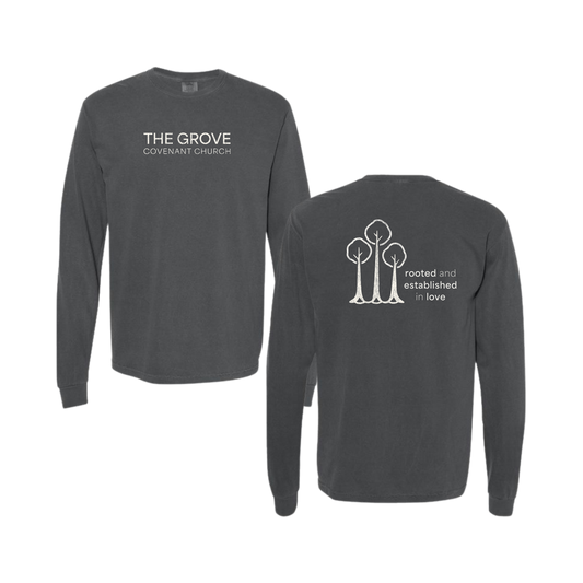 Comfort Colors® Vintage Christian Graphic Long Sleeve Tee | Rooted & Established in Love Shirt (Copy)