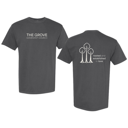 Comfort Colors® Vintage Christian Graphic Tee | Rooted & Established in Love Shirt